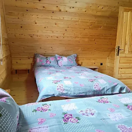 Planinski San 1 Zaovine