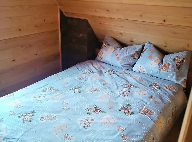 Planinski San 1 * Zaovine